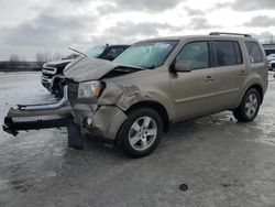 Salvage cars for sale at Wayland, MI auction: 2011 Honda Pilot EXL