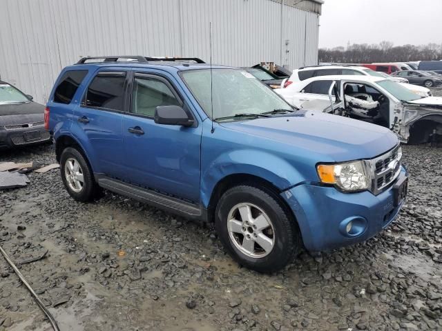 2009 Ford Escape XLT