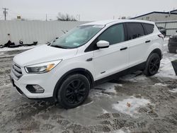 Salvage cars for sale at Albany, NY auction: 2017 Ford Escape SE