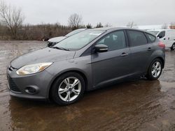 Salvage cars for sale at Columbia Station, OH auction: 2014 Ford Focus SE