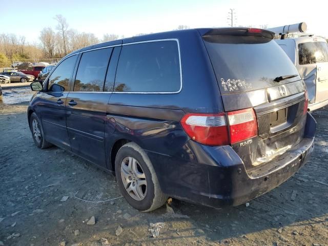 2005 Honda Odyssey EXL