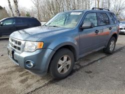 Salvage cars for sale at Portland, OR auction: 2012 Ford Escape XLT