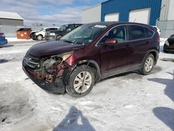 Vehiculos salvage en venta de Copart Elmsdale, NS: 2012 Honda CR-V EX