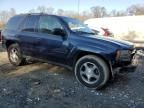 2007 Chevrolet Trailblazer LS