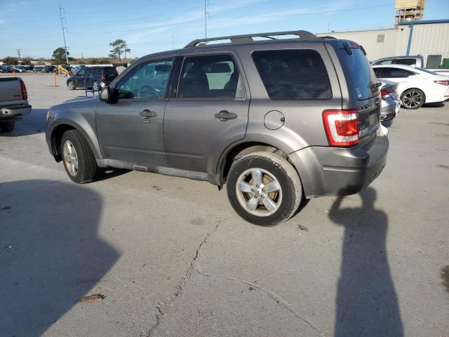 2011 Ford Escape XLT