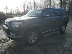 Toyota 4runner sr5 Vehiculos salvage en venta: 2012 Toyota 4runner SR5