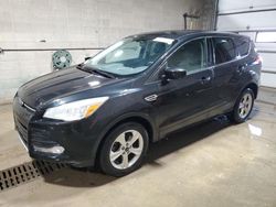 Salvage cars for sale at Blaine, MN auction: 2014 Ford Escape SE