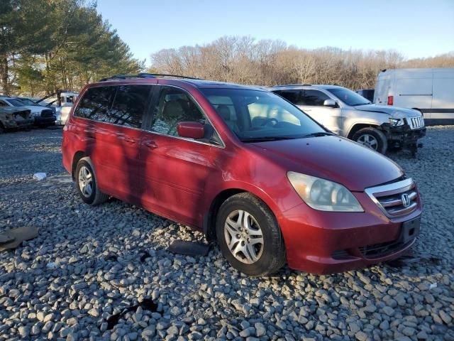 2006 Honda Odyssey EXL