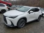 2022 Lexus NX 350