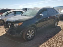 Salvage cars for sale at Phoenix, AZ auction: 2013 KIA Sorento LX