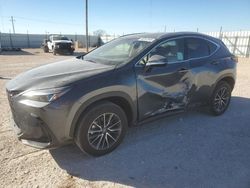 Salvage cars for sale at Andrews, TX auction: 2025 Lexus NX 250 Base