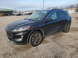 Salvage cars for sale from Copart Houston, TX: 2021 Ford Escape SEL