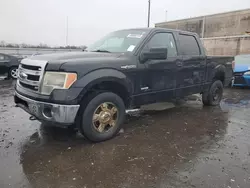 Salvage trucks for sale at Fredericksburg, VA auction: 2014 Ford F150 Supercrew