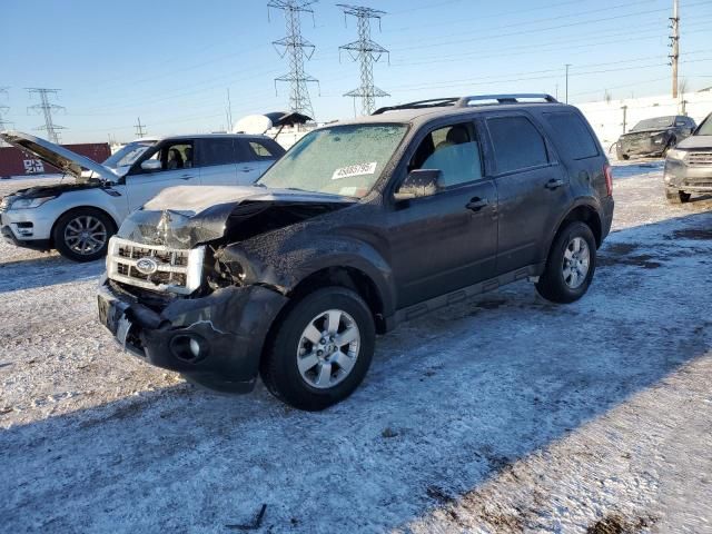 2011 Ford Escape Limited