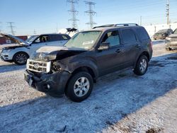 Salvage cars for sale at Elgin, IL auction: 2011 Ford Escape Limited