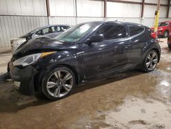 Salvage cars for sale at Pennsburg, PA auction: 2013 Hyundai Veloster