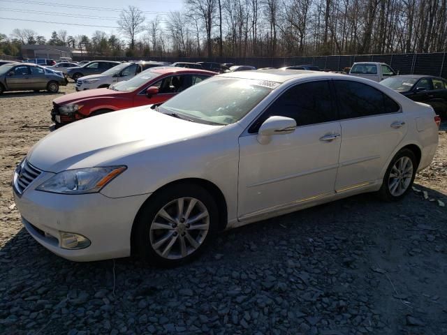 2010 Lexus ES 350