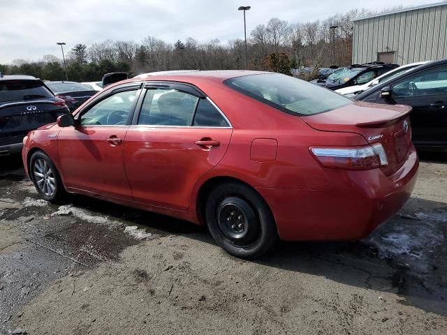 2008 Toyota Camry Hybrid