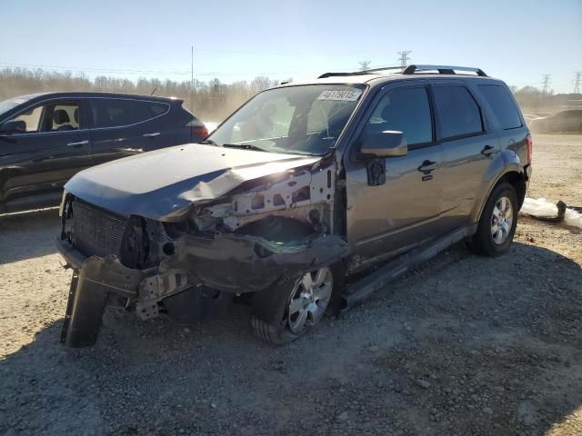 2010 Ford Escape Limited