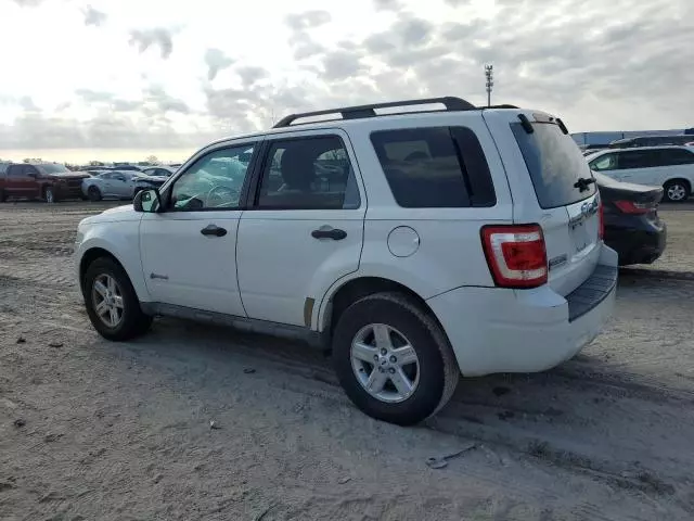 2009 Ford Escape Hybrid