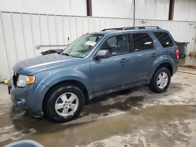 2010 Ford Escape XLT