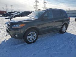 Salvage cars for sale at Elgin, IL auction: 2010 Hyundai Santa FE SE