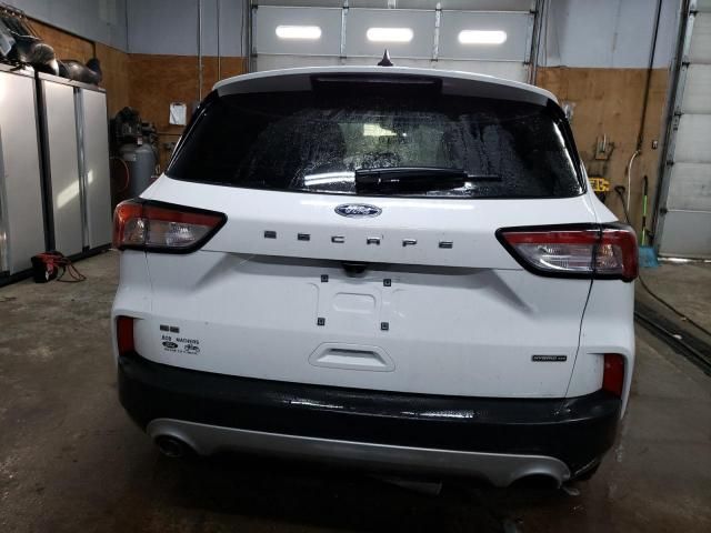 2022 Ford Escape SE