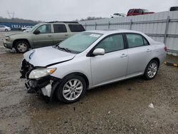 Toyota Corolla salvage cars for sale: 2009 Toyota Corolla Base