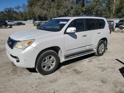 Salvage cars for sale at Ocala, FL auction: 2011 Lexus GX 460 Premium