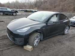 Tesla Vehiculos salvage en venta: 2021 Tesla Model Y