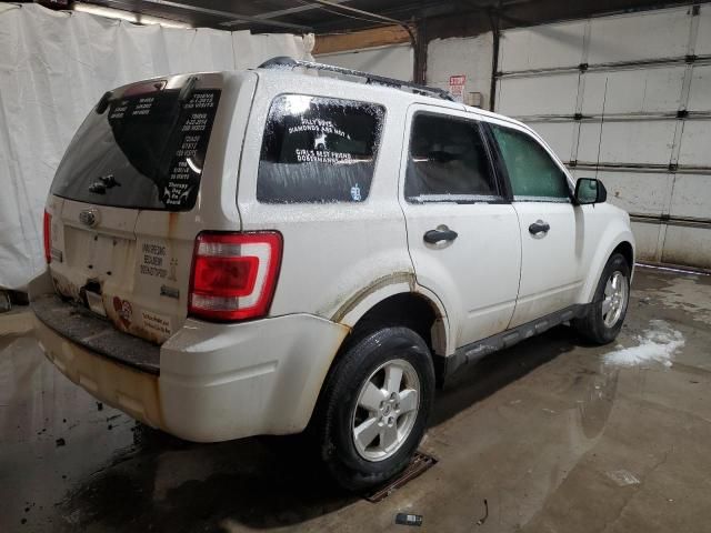 2011 Ford Escape XLT