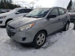 Hyundai salvage cars for sale: 2013 Hyundai Tucson GL