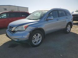 Salvage cars for sale at Tucson, AZ auction: 2010 Honda CR-V EXL