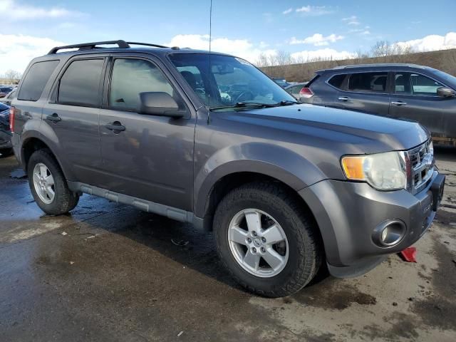 2009 Ford Escape XLT