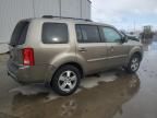 2011 Honda Pilot EXL