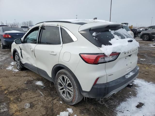 2021 Ford Escape SEL