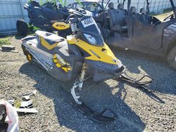 Salvage motorcycles for sale at Antelope, CA auction: 2009 Skidoo 2009 Skidoo Snowmobile