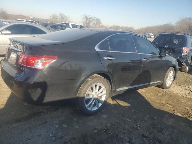 2010 Lexus ES 350