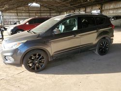 Salvage cars for sale at Phoenix, AZ auction: 2019 Ford Escape SE