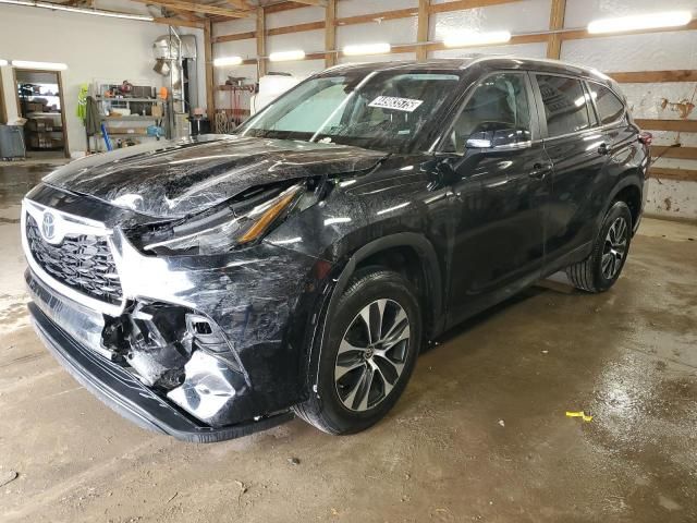 2024 Toyota Highlander XLE