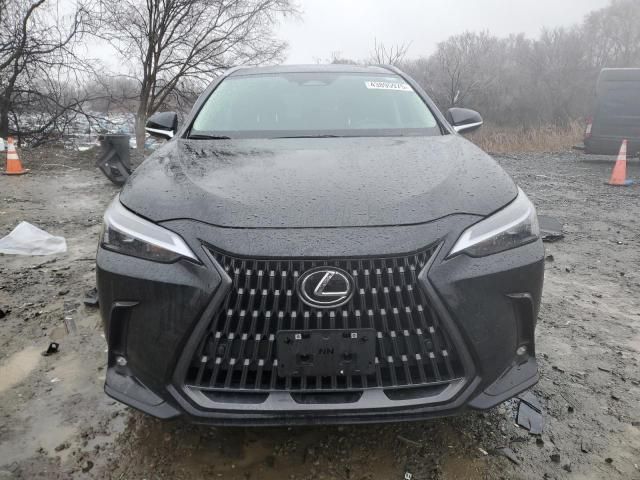 2025 Lexus NX 350 Base