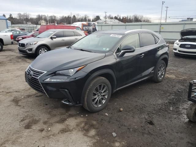 2019 Lexus NX 300H