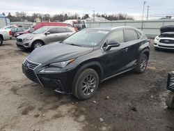 Salvage cars for sale at Pennsburg, PA auction: 2019 Lexus NX 300H