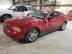 2010 Ford Mustang