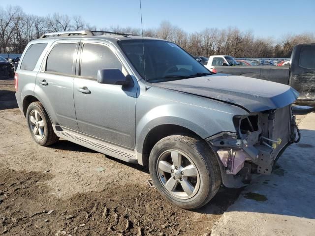 2010 Ford Escape Limited