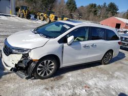 Salvage cars for sale at Mendon, MA auction: 2024 Honda Odyssey EXL