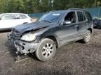 2003 Mercedes-Benz ML 350