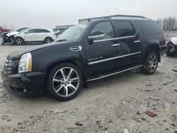 Cadillac salvage cars for sale: 2012 Cadillac Escalade ESV Luxury