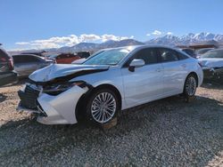 Salvage cars for sale at Magna, UT auction: 2019 Toyota Avalon XLE