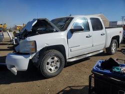 Salvage trucks for sale at Brighton, CO auction: 2008 Chevrolet Silverado K1500